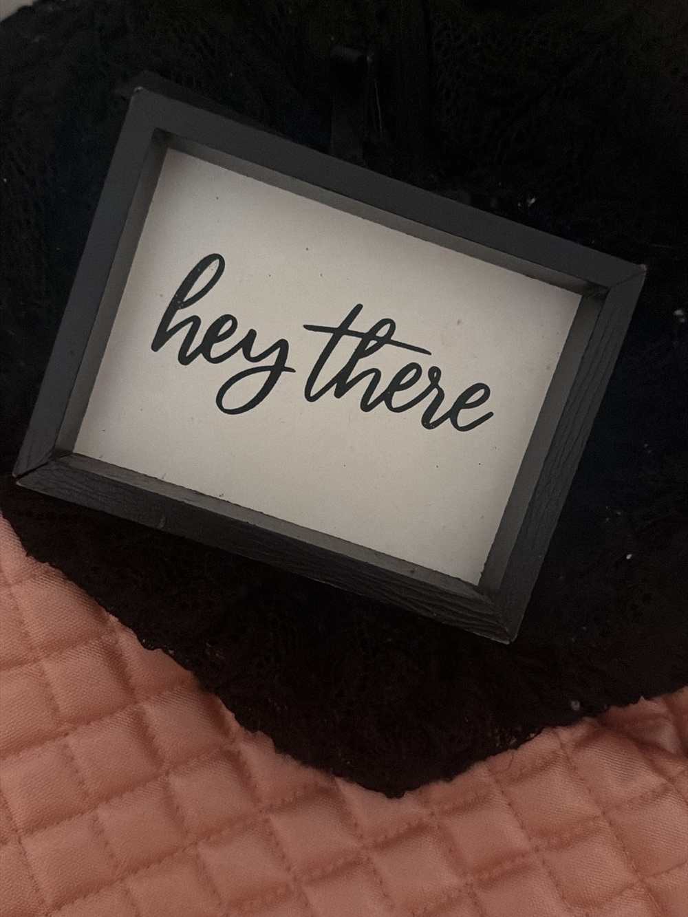 Blank Brand Black and White "hey there" Decorative Sign